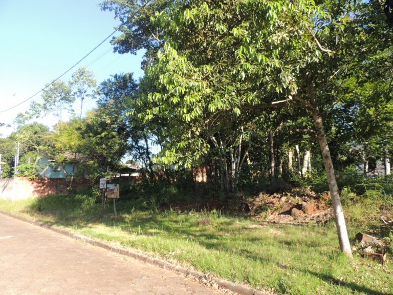 Oportunidade Imperdível: Lote de 325m² no Bairro São Defende Oportunidade Imperdível: Lote de 325m² no Bairro São Defende
