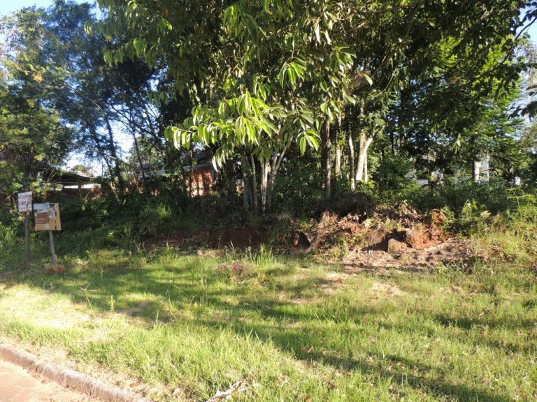 Oportunidade Imperdível: Lote de 325m² no Bairro São Defende Oportunidade Imperdível: Lote de 325m² no Bairro São Defende