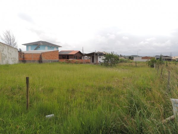 Lote 288m² (12m x 24m)