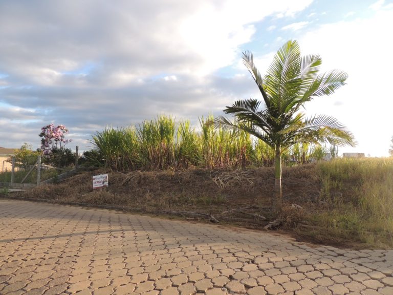 Lote à Venda no Bairro Demboski | 364m² | Rua Jarvis Gaidzinski Lote à Venda no Bairro Demboski | 364m² | Rua Jarvis Gaidzinski